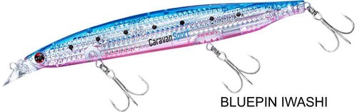 Daiwa shore line - line, z