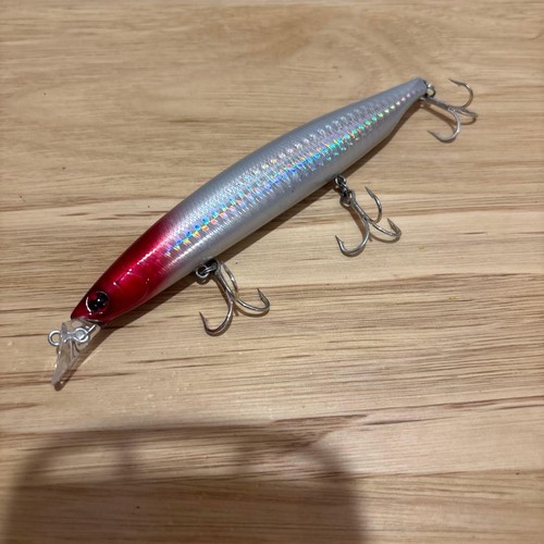 Shoreline shiner bardis r - shoreline,