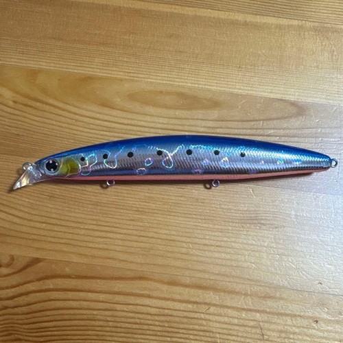 Shoreline shiner vertis sd - z,